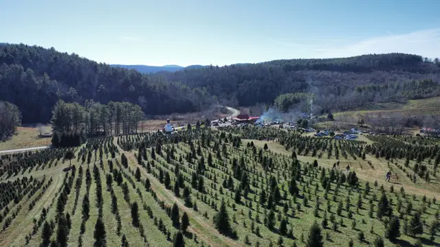 Opening weekend from above