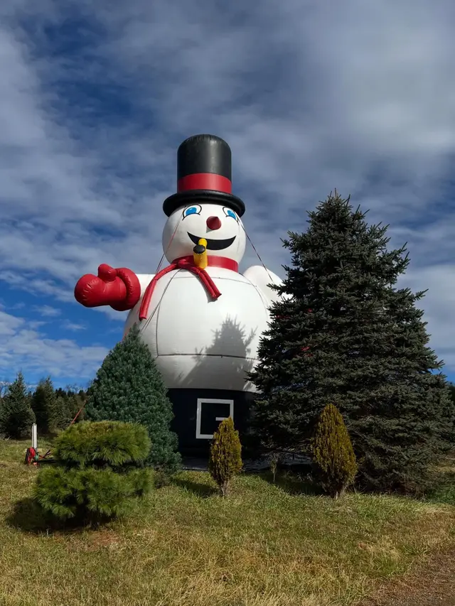 Frosty at the farm