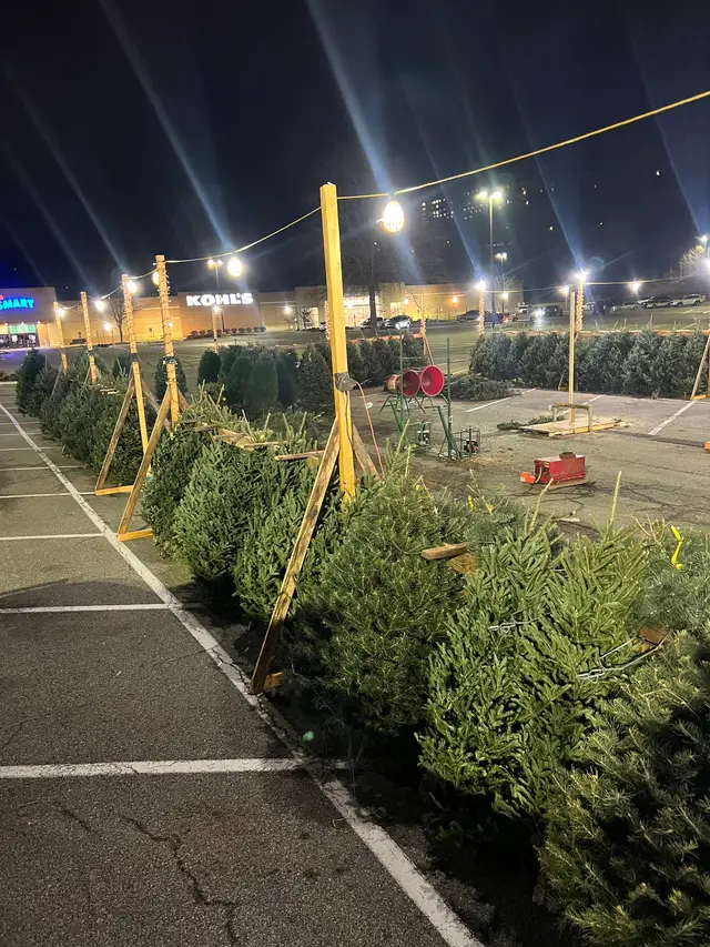 Lights on at the lot
