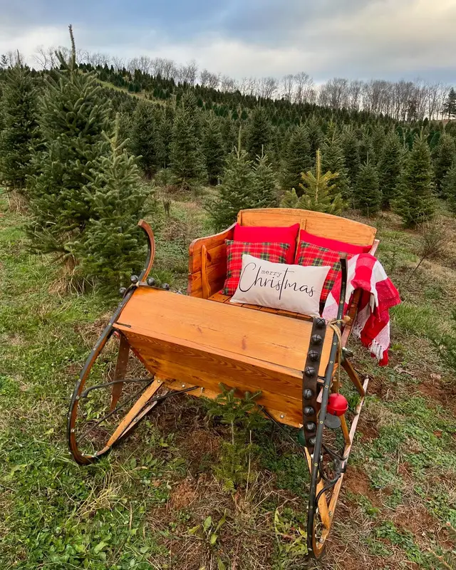 The sleigh in the rows